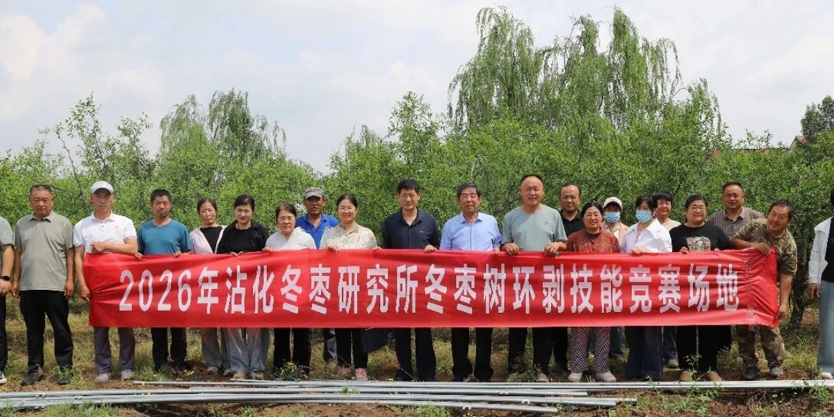 【技能赋能兴产业·劳动竞赛促振兴】——沾化区总工会冬枣环剥技能竞赛在冬枣研究所圆满举办